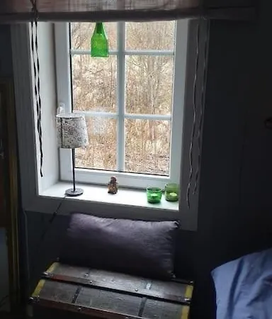 Hus Ved Sjoen 4 Soverom 10 Gjester * Salsbruket