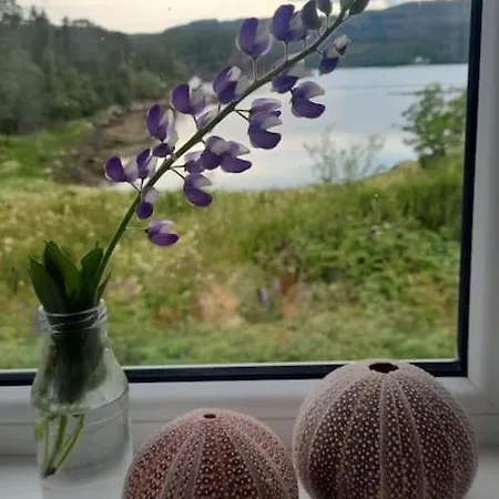 Vakantiehuis Hus Ved Sjoen 4 Soverom 10 Gjester Salsbruket